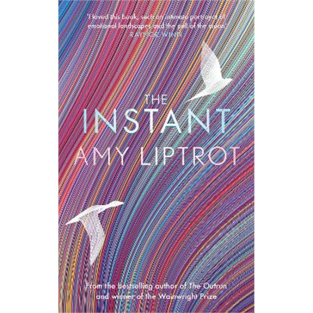The Instant (Hardback) - Amy Liptrot